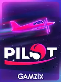 Pilot crash at 990X COM